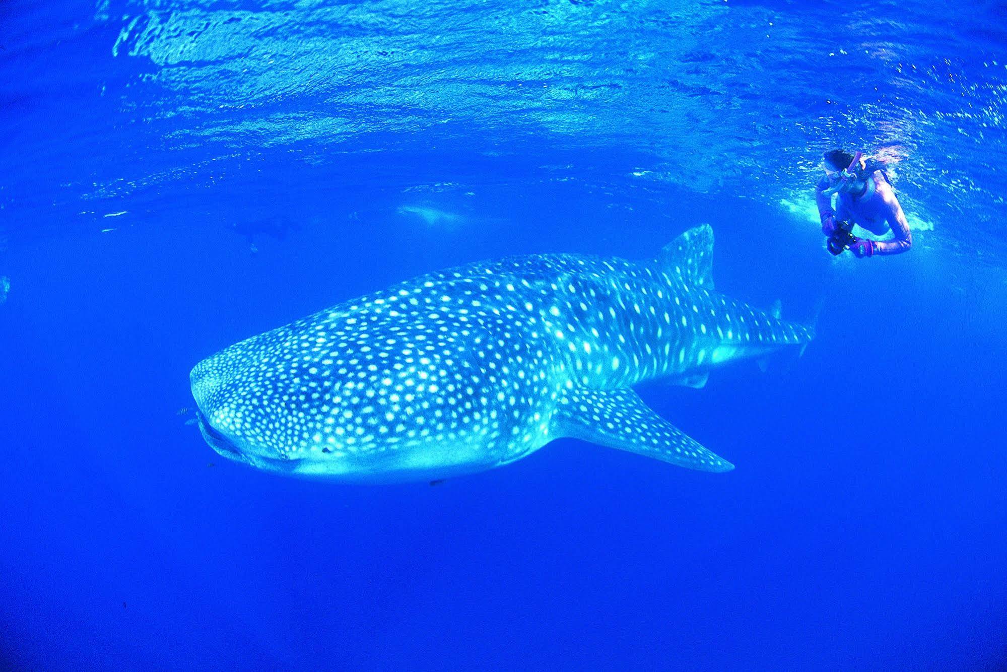 Ningaloo Reef Resort Coral Bay Exterior foto
